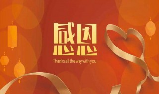 关于感恩的段落摘抄 关于感恩的段落摘抄300字