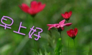 周末早上好祝福语（周末早上好祝福语带字体带图片）