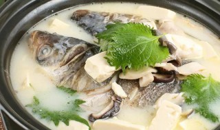 鲫鱼豆腐萝卜汤 鲫鱼豆腐萝卜汤孕妇可以喝吗