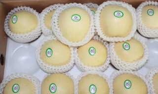 黄冠梨怎么挑 黄冠梨怎么挑选才好吃