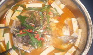 鱼头豆腐粉丝煲（鱼头豆腐粉丝煲的做法）