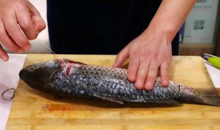 怎么挑鱼腥线（挑鱼线去腥）
