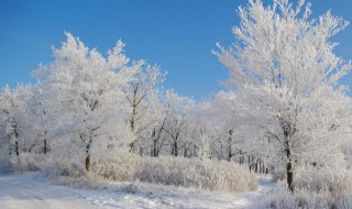 适合初雪发的文案 初雪的文案发给喜欢的人