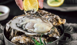 炸生蚝做法窍门（炸生蚝的做法窍门）