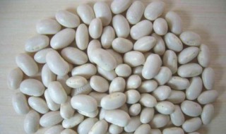 芸豆豆浆做法窍门（白芸豆豆浆的做法窍门）