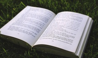 酌酒以自宽下一句 酌酒以自宽 下一句