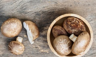 香菇薯片做法窍门（香菇薯片做法窍门是什么）