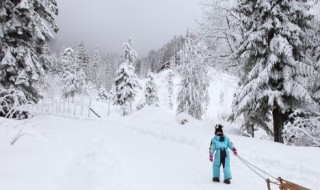 雪景文案（校园雪景文案）