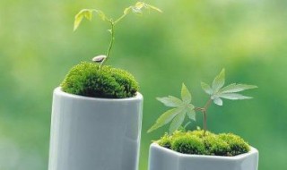 关于青春的优美段落摘抄(关于青春的优美段落摘抄260字)