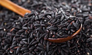 如何挑选黑米(如何挑选黑米的好坏)