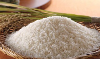 米能放冰箱冷藏室储存吗(米可以放冷藏室吗)