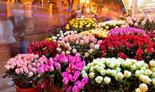 好听的花店名字 好听的花店名字大全清新花店名称推荐