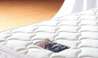 床垫怎么除螨虫(乳胶床垫怎么除螨虫)