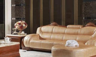 如何保养皮革家具（如何保养皮革家具视频）