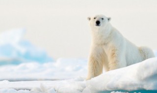 冬天冷的朋友圈说说（冬天冷的朋友圈说说图片）