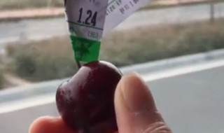 车厘子的梗是什么意思 车厘子是啥梗