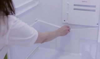 冰箱水槽需要清理吗 冰箱水槽需要清理吗视频
