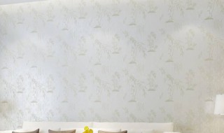 壁布选购技巧是什么（壁布选购技巧是什么意思）