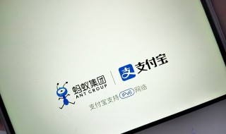 支付宝如何开启指纹识别(支付宝如何使用指纹识别)