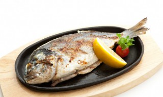 碳火烤鱼的做法（碳火烤鱼的做法和配料）