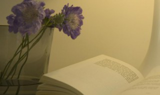 早上心情很好的句子 早上心情很好的句子图片