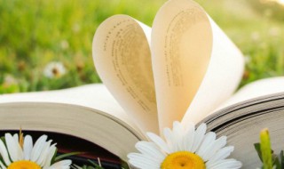 网易云经典语录伤感短句（网易云语录最心酸的句子）