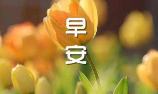 简单的早安心语励志 简单的早安心语励志短句