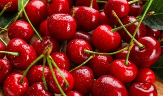 车厘子等级划分 车厘子等级划分图解