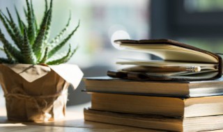 早安简短的一句话说说（早安说说简短唯美句子一句话）