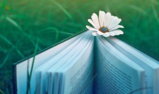 早上好美美心情说说 早上好美美心情说说图片