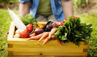 酸萝卜的朋友圈说说（酸萝卜的朋友圈说说搞笑）