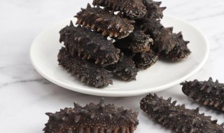 挑选优质海参看什么 如何挑选优质海参