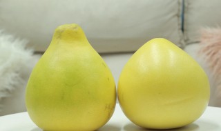 如何挑选一个合格的柚子 如何挑好的柚子