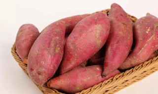红薯发芽还能吃吗（红薯发芽还能吃吗 吃了会怎样呢）