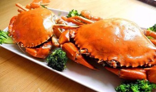 青蟹选购技巧是什么 青蟹选购技巧是什么样的