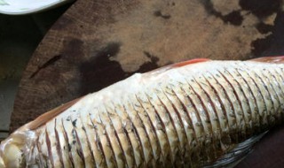 鲮鱼多刺如何做（捣鱼刺怎么做）