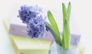 早晨美好句子简短2021 早晨美好句子简短2020