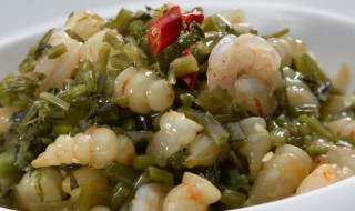 如何做雪菜虾仁（如何做雪菜虾仁粥）