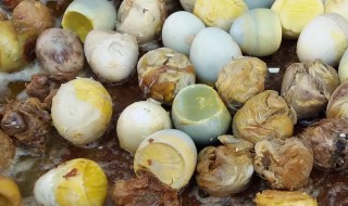 毛蛋如何做好吃（毛蛋如何做好吃）