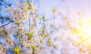 清晨一缕阳光的早安语 清晨一缕阳光的早安语句
