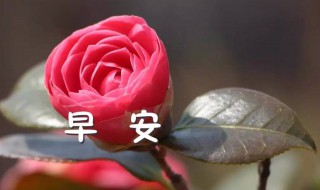 对客户的早安问候语简短一句话 对客户的早安问候语简短一句话图片