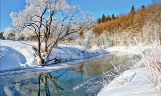 描写冬天孤独的句子 描写冬天孤独的句子有哪些