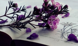 早晨正能量励志的句子简短 早晨正能量励志的句子简短一点