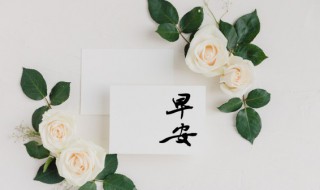 早安心语简短一句话早安 早安心语优美的语句一句话