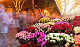 咖啡和鲜花一起的店名 咖啡和鲜花一起的店名叫什么