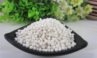 如何挑选西米（怎样挑选西米）