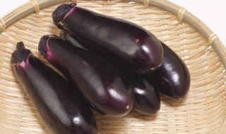 夏天茄子怎么保存（夏天茄子怎么保存时间长还新鲜）