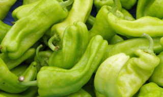 糖醋灯笼椒怎么弄 灯笼椒怎么做法