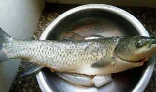 电饭煲如何做草鱼 电饭煲焖草鱼做法