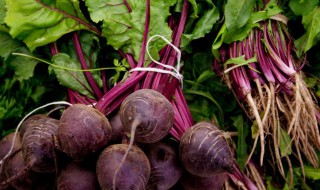 甜菜的功效与作用 甜菜叶的功效与作用